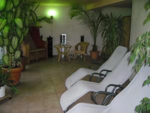 a room with a bunch of chairs and plants at Hotel Schützenhaus in Brück