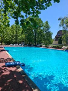 a large swimming pool with blue water at Üdülő in Gárdony