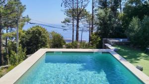 a swimming pool in the backyard of a house at cardo village in Bastia