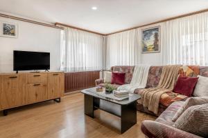 a living room with a couch and a tv at Mržek House with Sauna - Happy Rentals in Nova Vas