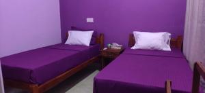 two beds in a room with purple walls at East Breeze in Arugam Bay +3 photos