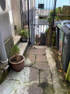 a plant in a pot sitting in front of a door at Central studio in Paignton +1 photo