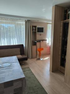 a living room with a couch and a table at Family Apartament in Narva-Jõesuu