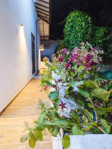 a bunch of flowers in pots on a hallway at Antica 91 Villa in Galle