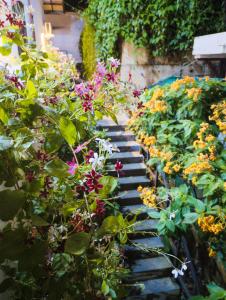 a garden with colorful flowers on a walkway at Antica 91 Villa in Galle