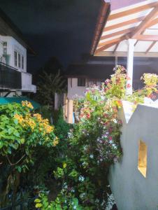 a bunch of flowers on the side of a building at Antica 91 Villa in Galle