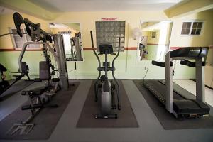 Fitness centrum a/nebo fitness zařízení v ubytování Hotel Alexandrina
