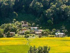a village in the middle of a field of yellow flowers at Hotel crunchy shadowbegnas in Deorāli
