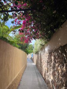 a street with flowers hanging from a stone wall at Une pause vacances in Bandol