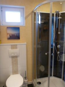 ein Bad mit einer Dusche, einem WC und einem Fenster in der Unterkunft Ferienhaus Holst Sylt in Wenningstedt-Braderup