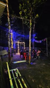 Eine Gruppe von Menschen sitzt nachts in einem Park. in der Unterkunft Bambooleaf pool dormitory in Meppādi