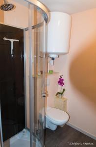 a bathroom with a toilet and a glass shower at Le Sancy in Le Mont-Dore