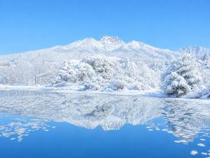 a mountain reflection in the water with snow covered trees at Komorebi Myoko Lodge in Myoko