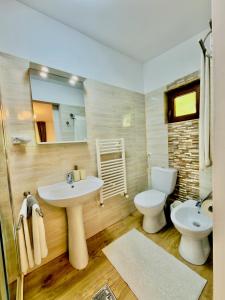 a bathroom with a sink and a toilet and a mirror at Casa Rogin Chalet in Buhalniţa +22 photos