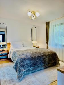 a bedroom with a large bed and a mirror at Casa Rogin Chalet in Buhalniţa