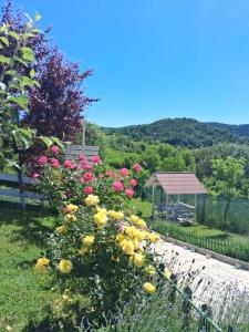 a garden with flowers and a gazebo at Casutele Verzi Camera King in Ocnele Mari