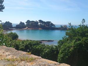 a view of a body of water with an island at Esprit d'Antan in Ploubazlanec