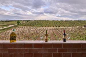 three wine glasses and wine bottles on a wall with a vineyard at FINCA VALDELAJARA a 20 minutos de Puy du Fou in Toledo