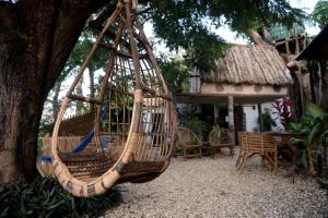 a hammock hanging from a tree in a yard at Saldomar B&Biosphere in Bubaque