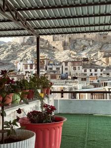 a balcony with potted plants and a view of a city at The Grand K2 Hotel in Leh