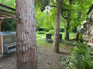 a yard with two trees and a grill in the yard at Páfrányház in Fertőd +32 photos