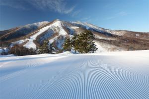 a snow covered mountain with a tree in the background at Silver Fox Madarao in Iiyama