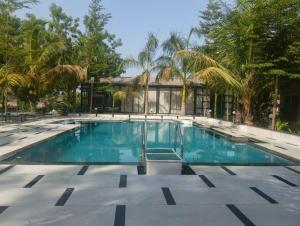a swimming pool in front of a house with palm trees at RiverView Tent Resort in Kevadia