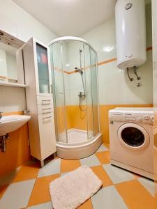 a bathroom with a shower and a washing machine at Apartment Andrea in Mirce +64 photos
