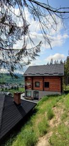 a house with a roof on top of a field at Loft Bucovina in Gura Humorului