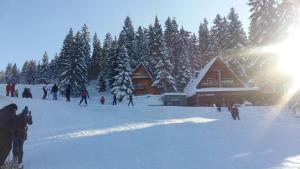 Chalet The Best View v zimě