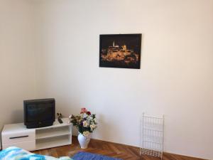 a living room with a tv and a vase of flowers at Írisz Apartman Budapest in Budapest