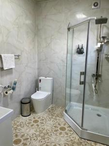 a bathroom with a shower and a toilet and a sink at Kausar Hotel in Bishkek