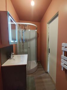 a bathroom with a shower and a white sink at Authentique Maison de Pêcheur Le Refuge in Le Tréport +22 photos