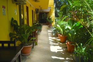 Giardino di Hotel Aurora