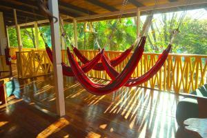 Foto dalla galleria di Hotel Aurora a Montezuma