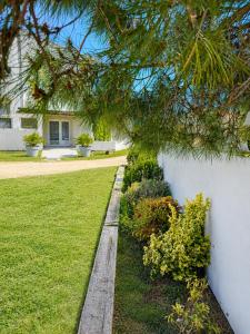 a yard with a house and a tree at LES MAISONS DU PATY in Arles