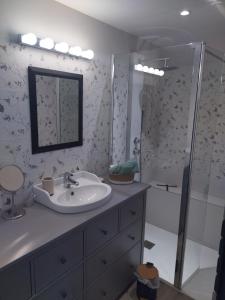 a bathroom with a sink and a shower at L'Escale Baie in Pendé