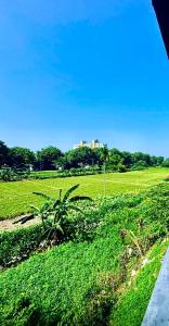 a field of green grass with a city in the background at Studio Greenlands 2nd-E in Battaramulla