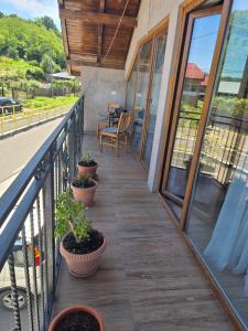 a porch with potted plants on a balcony at Casa Roberto in Budeşti