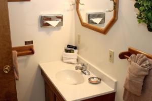 a bathroom with a sink and a mirror at Sunnyside Knoll- 3 studio in Estes Park