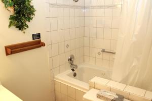 a bathroom with a shower and a tub and a toilet at Sunnyside Knoll- 3 studio in Estes Park