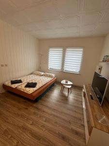 a bedroom with a bed and a tv in it at Relax in the Harz in Hasselfelde
