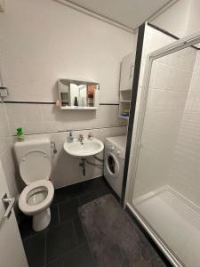 a small bathroom with a toilet and a sink at Relax in the Harz in Hasselfelde +5 photos