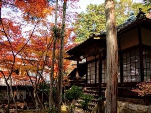 a house in the middle of a forest of trees at Okayama International Hotel in Okayama