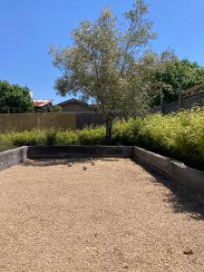 a garden with a tree in the middle of a yard at Chai Nous - votre villa au cœur des Landes - classée 4 étoiles in Rion-des-Landes