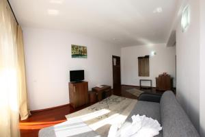 a living room with a bed and a television at Pensiunea Maria in Călimăneşti