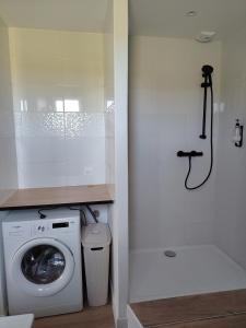 a bathroom with a washing machine and a shower at La forge in Hinx