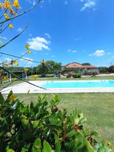 a view of the pool from the yard at "IL CASALE DEI GIRASOLI" Country House in Capalbio in Capalbio