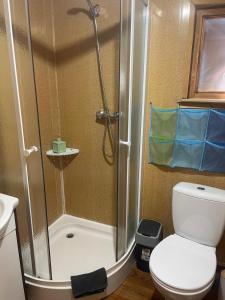 a bathroom with a shower and a toilet at Merylula - Domek nad jeziorem in Przydwórz +22 photos