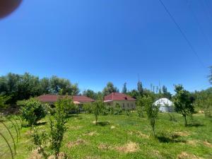 a field of trees with a house in the background at ASAN ATA Guest House in Toktogul